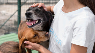 COMPROMETIDOS CON EL BIENESTAR ANIMAL