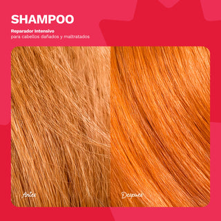 Shampoo Reparador Intensivo para cabellos maltratados | BE BOLD | 16 OZ / 473 ML