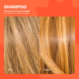 Shampoo con extracto de jengibre | Para cabello con tendencia grasa | BE HONEST | 16 OZ / 473 ML